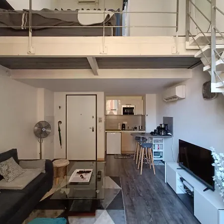 Joli Duplex Cathedrale * 칸느