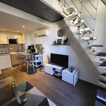 Joli Duplex Cathedrale Cannes