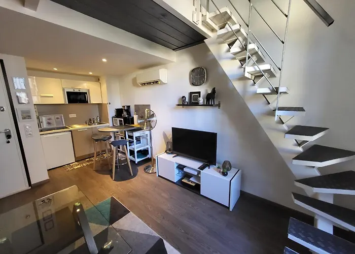 Joli Duplex Cathedrale Cannes